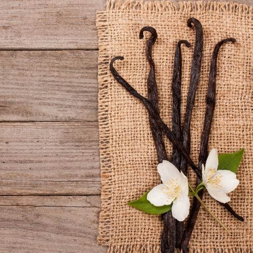 Vanilla | Botanical Perfume Oil