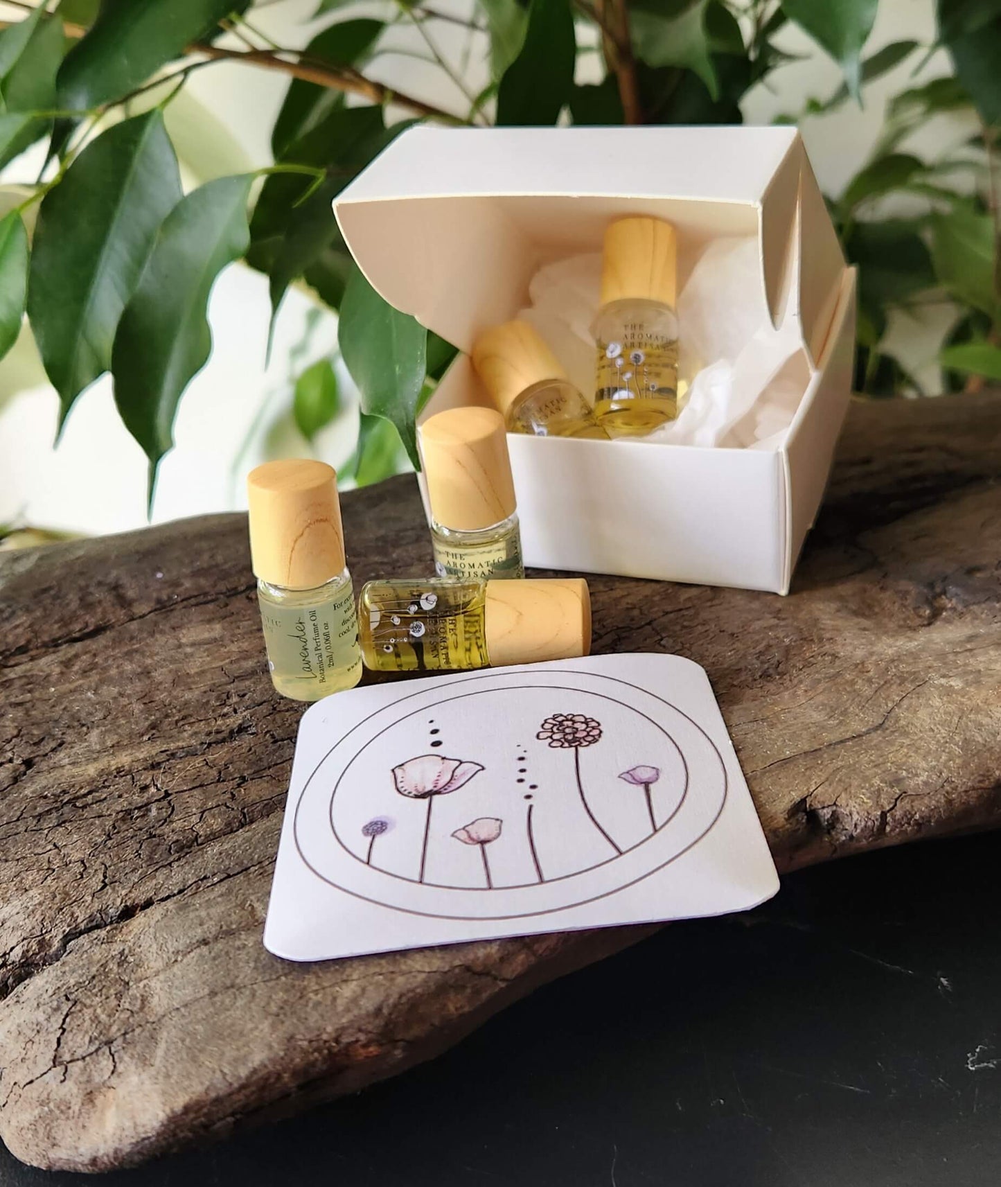 The Singles | Sample Set | Botanical Perfume Oils | Christmas Gift Idea