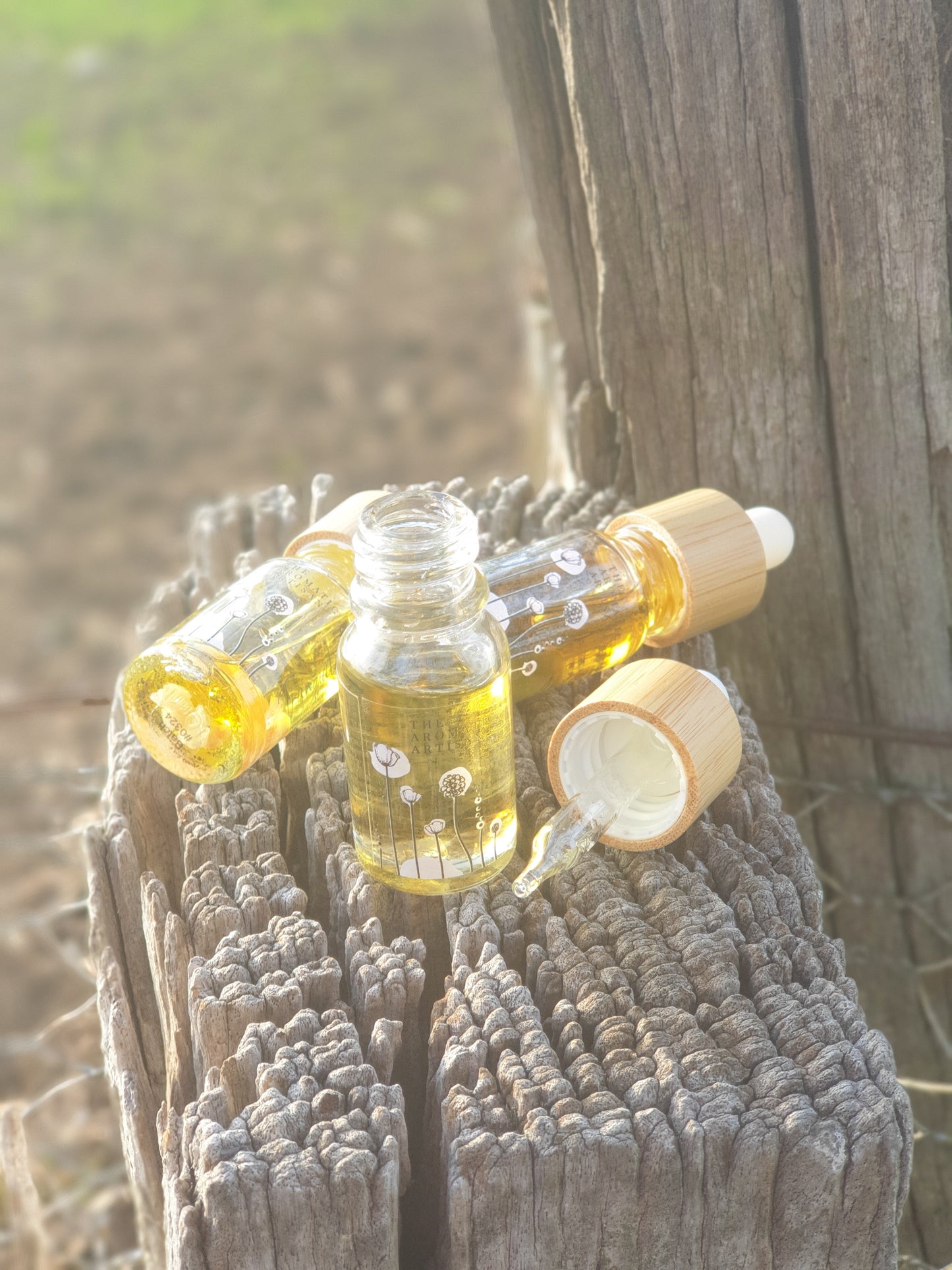 Arctic | Botanical Diffuser Oil
