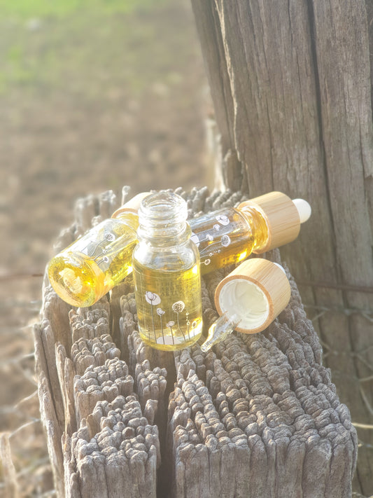 Arctic | Botanical Diffuser Oil
